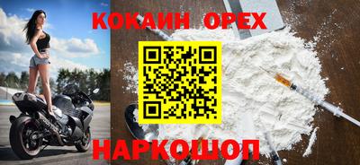 шишки Кимры