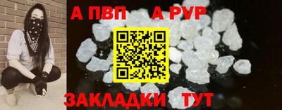 шишки Кимры