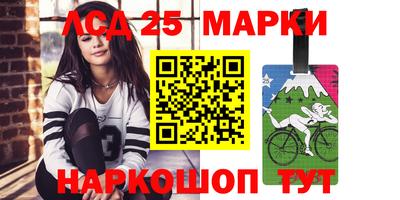 шишки Кимры