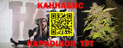 шишки Кимры