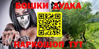шишки Кимры