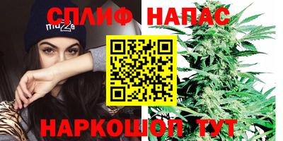 шишки Кимры