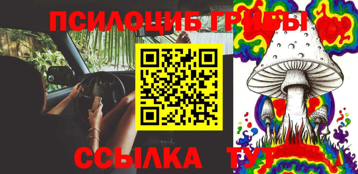 Псилоцибиновые грибы ЛСД  Галлюциногенные грибы Magic Shrooms  Знаменск  Вход с VPN 